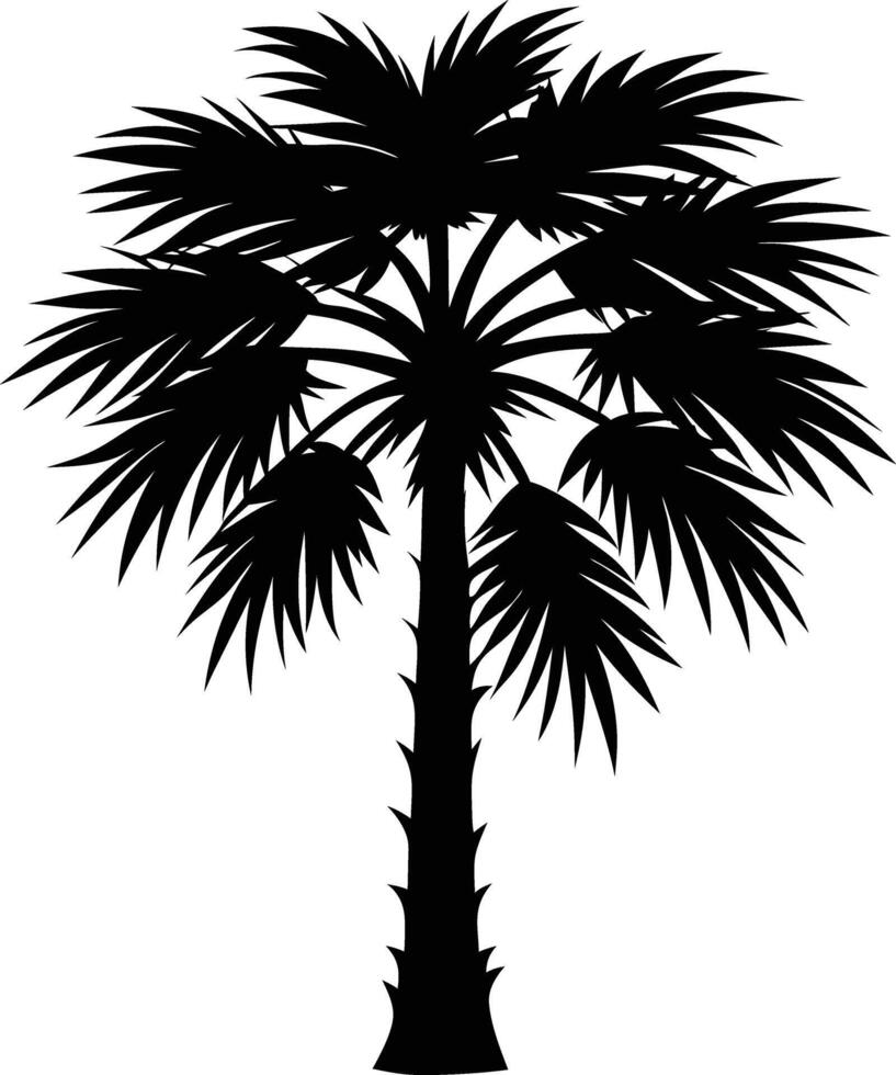 Palmetto tree silhouette on white background vector