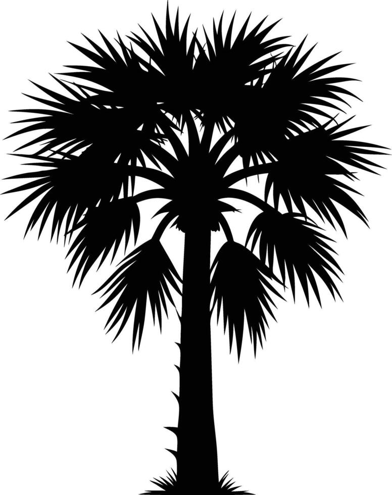 Palmetto tree silhouette on white background vector