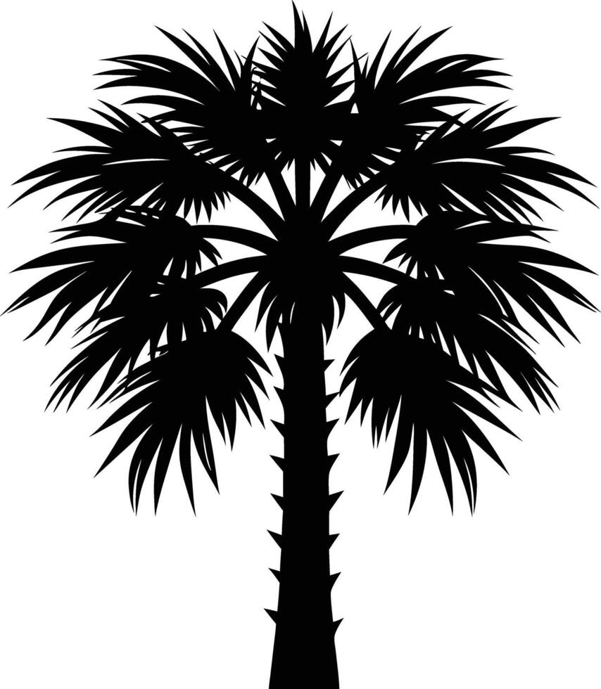 Palmetto tree silhouette on white background vector