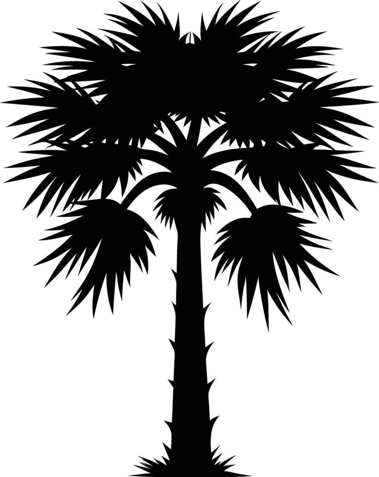 Palmetto tree silhouette on white background vector