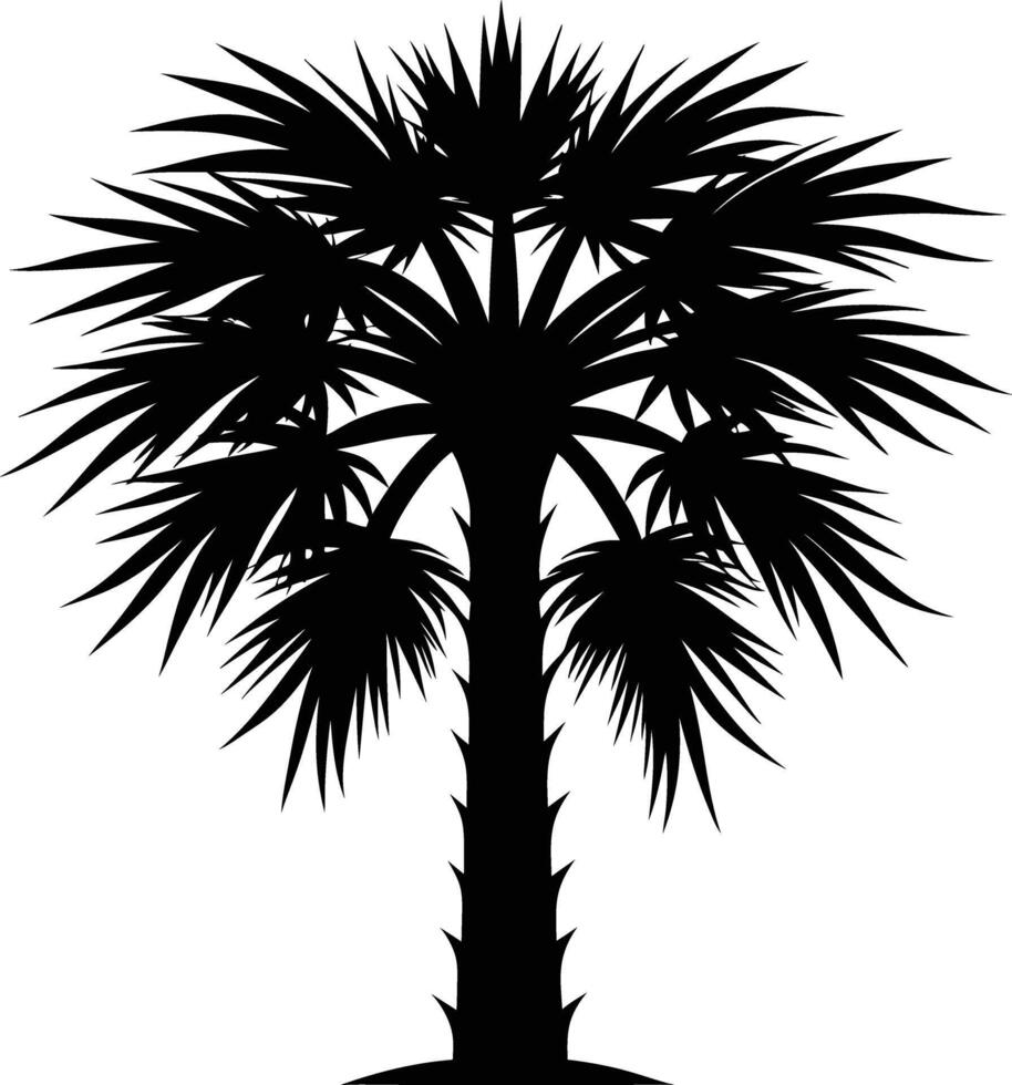 Palmetto tree silhouette on white background vector