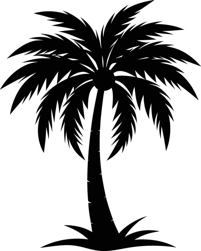 Palmetto tree silhouette on white background vector