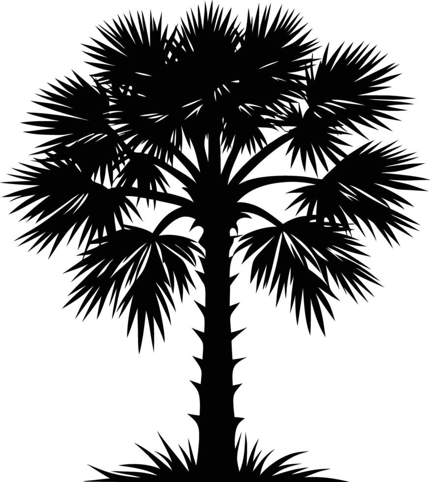 Palmetto tree silhouette on white background vector