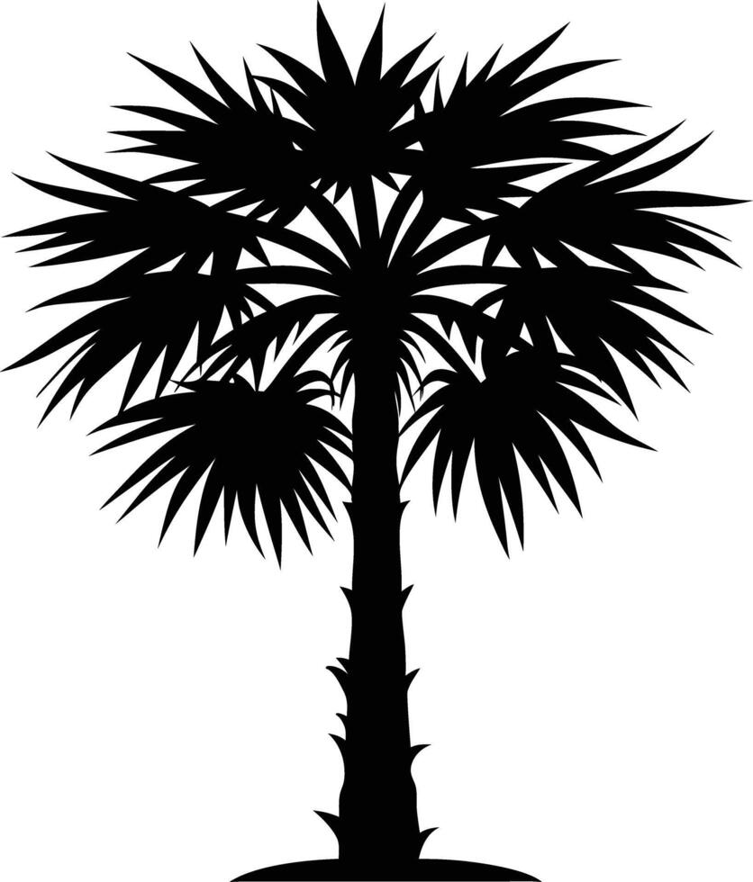 Palmetto tree silhouette on white background vector
