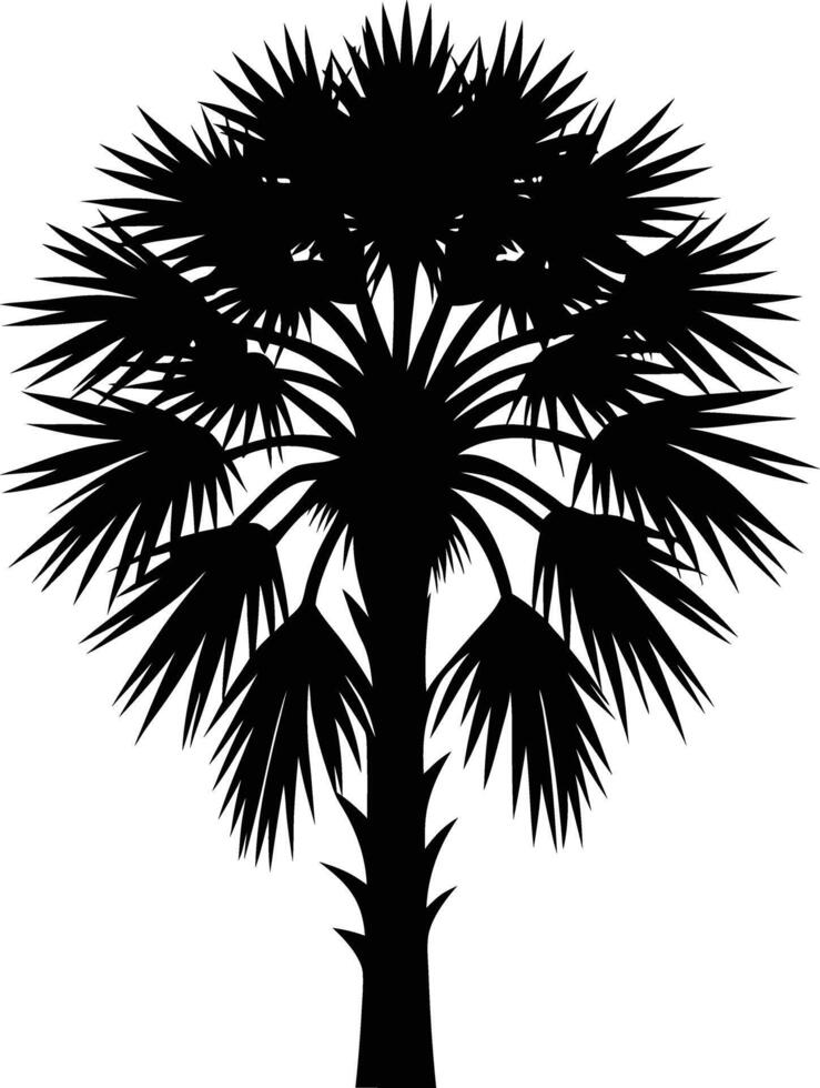Palmetto tree silhouette on white background vector