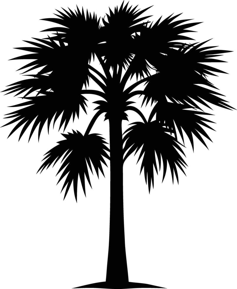 Palmetto tree silhouette on white background vector
