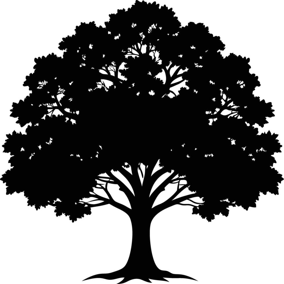 A black and white silhouette of a oak tree vector