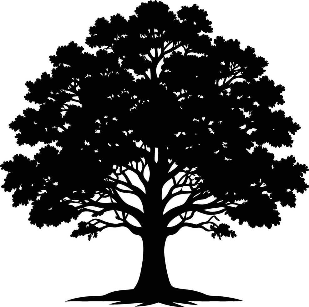 A black and white silhouette of a oak tree vector
