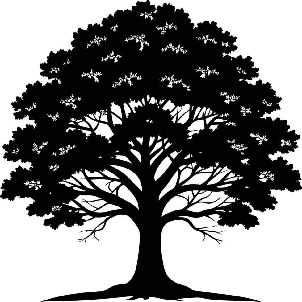 A black and white silhouette of a oak tree vector