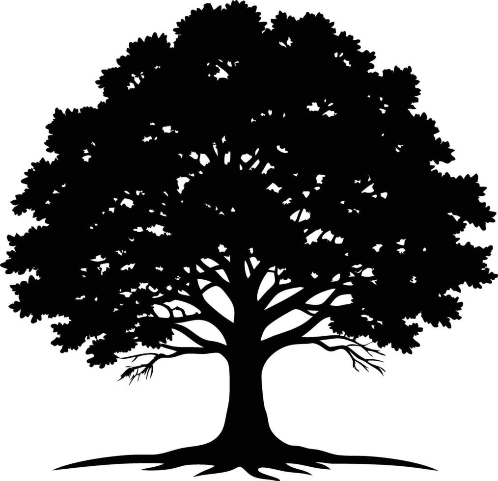 A black and white silhouette of a oak tree vector