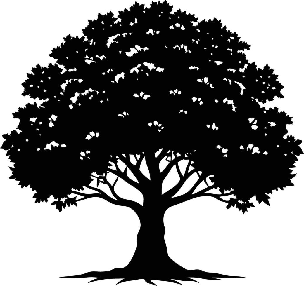 A black and white silhouette of a oak tree vector