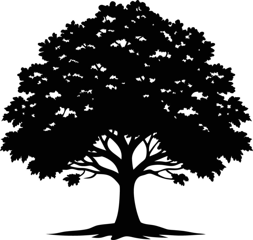 A black and white silhouette of a oak tree vector