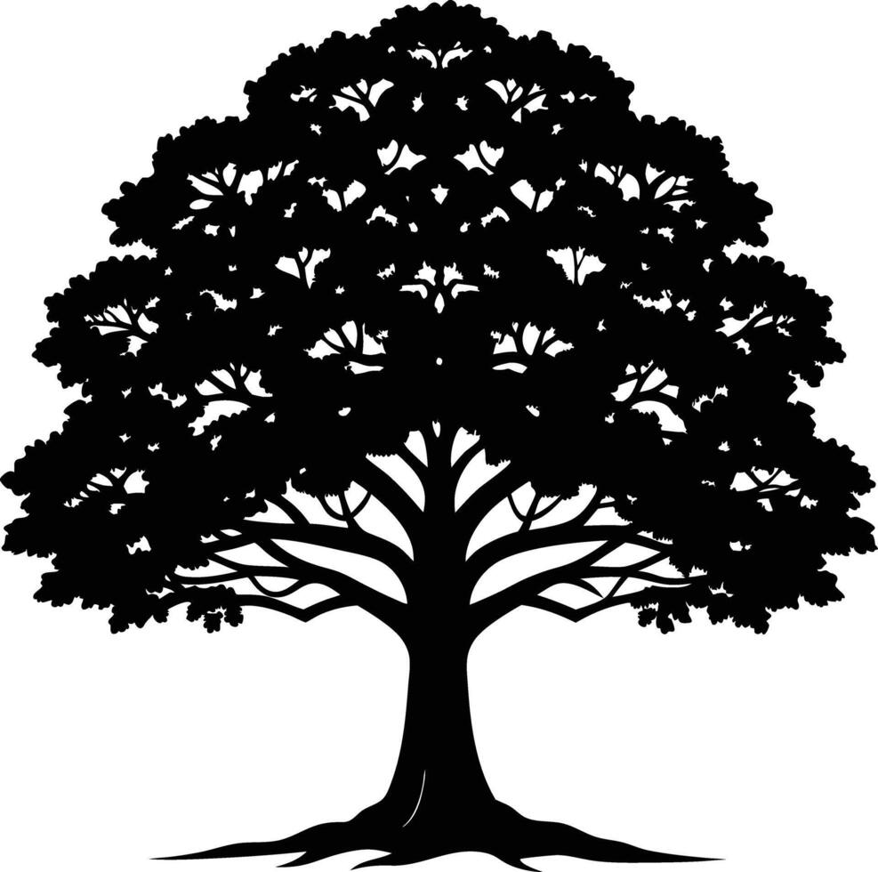 A black and white silhouette of a oak tree vector