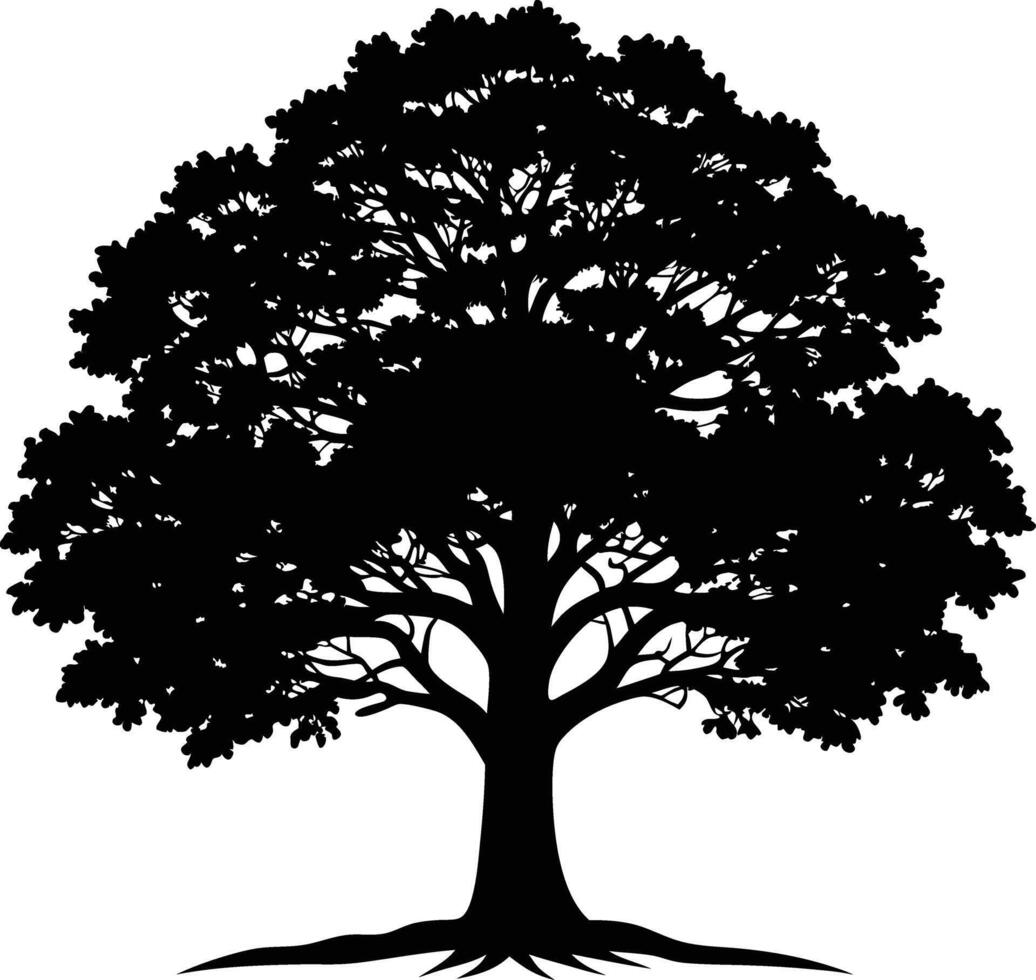 A black and white silhouette of a oak tree vector