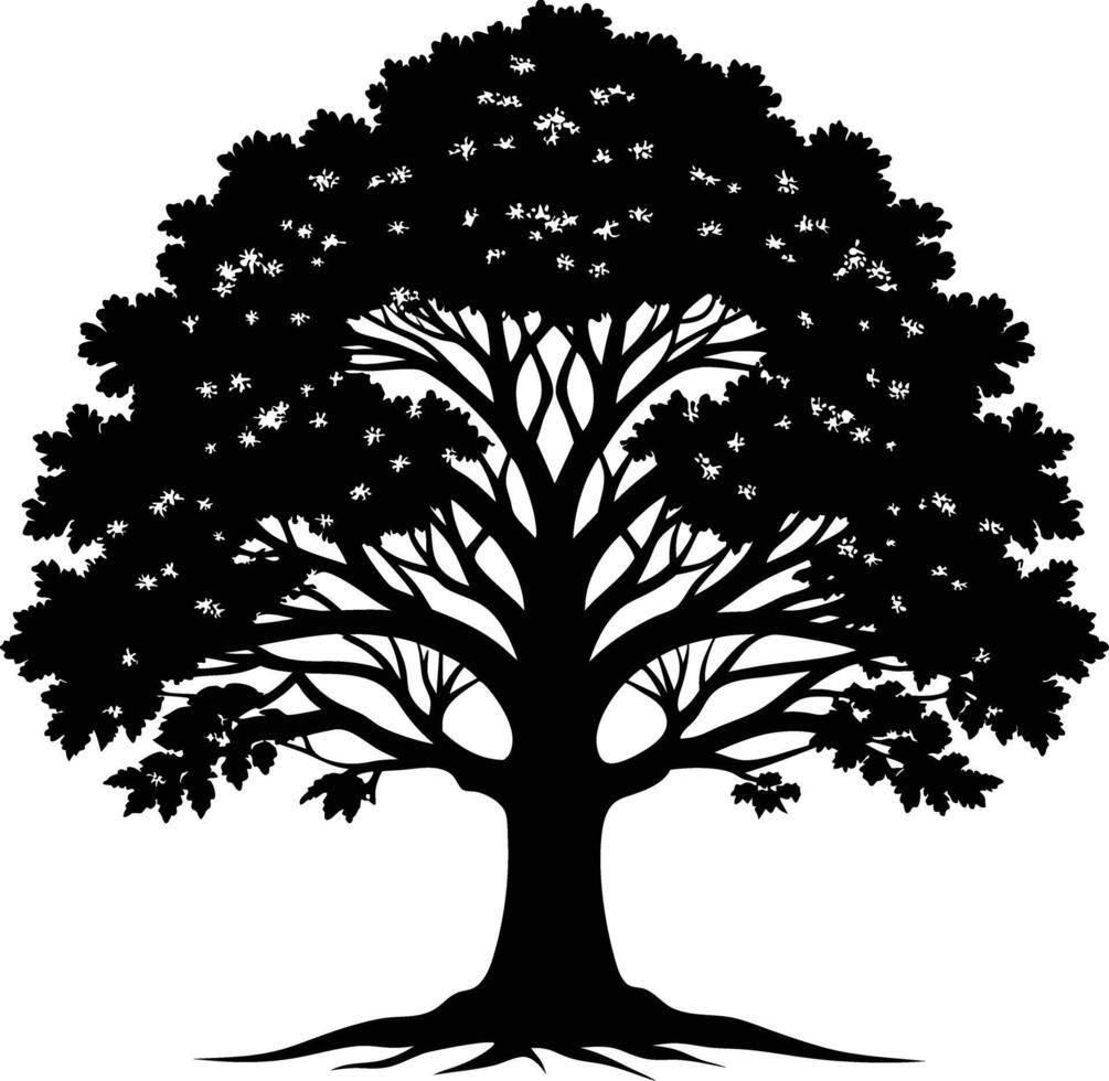 A black and white silhouette of a oak tree vector