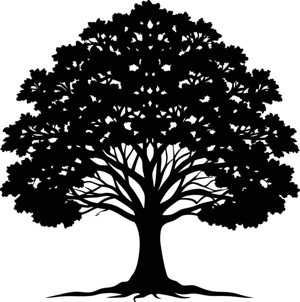 A black and white silhouette of a oak tree vector