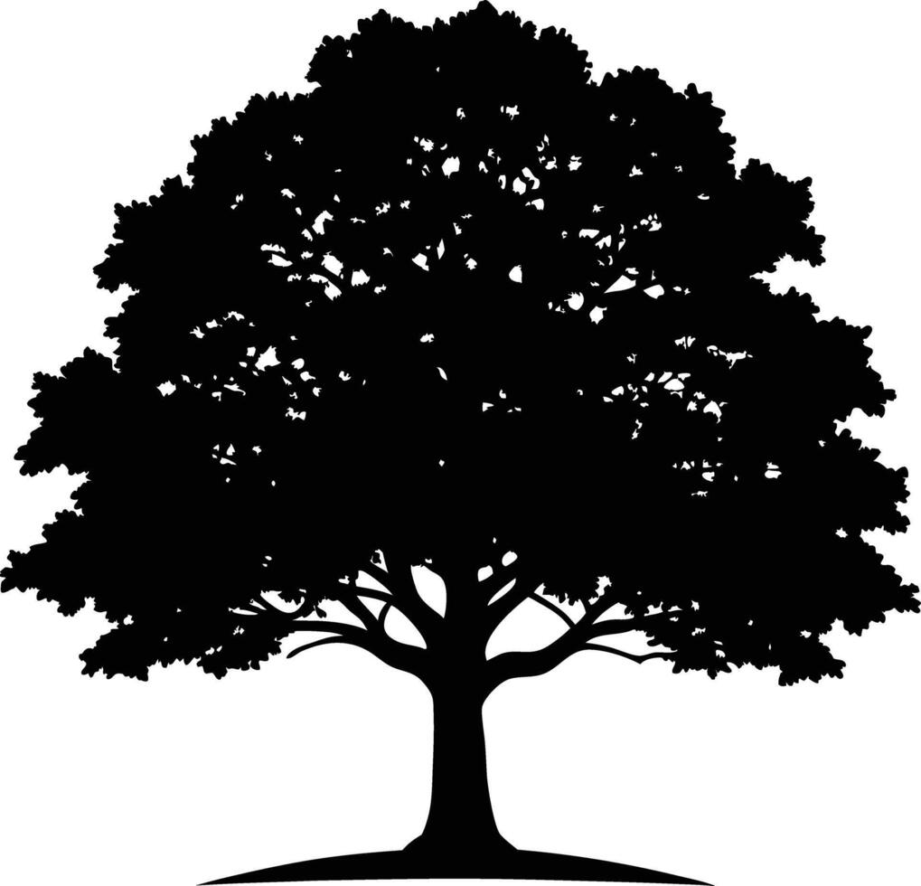 A black and white silhouette of a oak tree vector