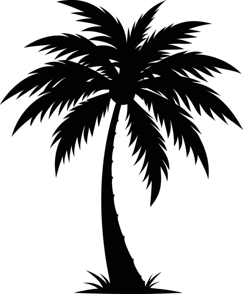 A palm tree silhouette on white background vector