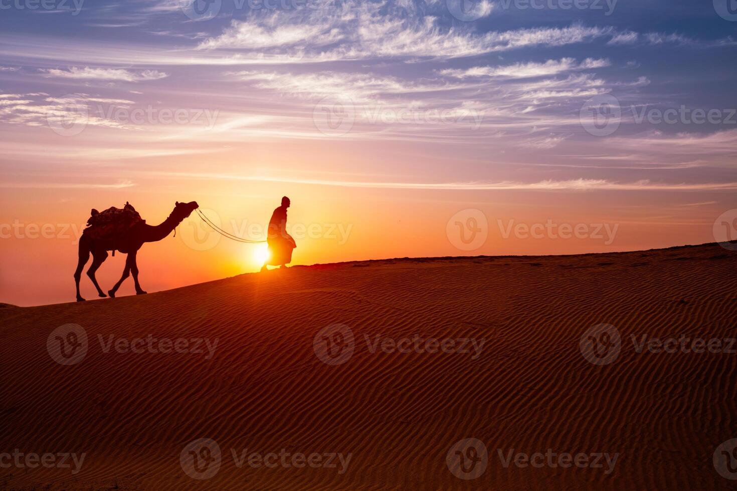 Indian cameleer camel driver with camel silhouettes in dunes on sunset. Jaisalmer, Rajasthan, India photo
