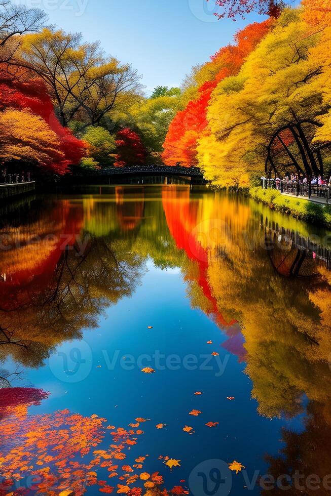 A River Surrounded by Colorful Trees and Leaves photo
