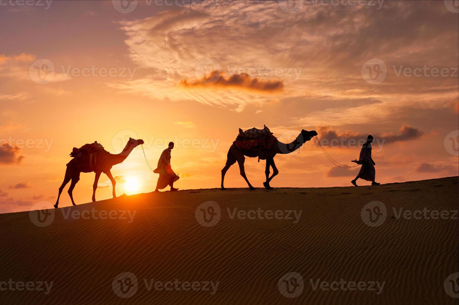 Indian cameleers camel driver with camel silhouettes in dunes on sunset. Jaisalmer, Rajasthan, India photo