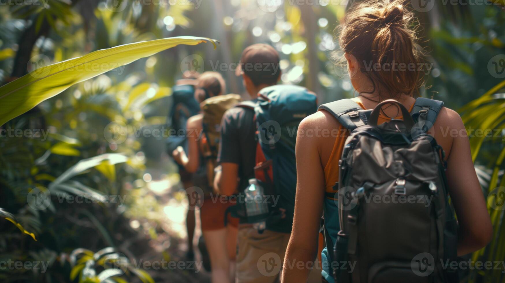 view from the back of tourists walking along a path in the rainforest photo