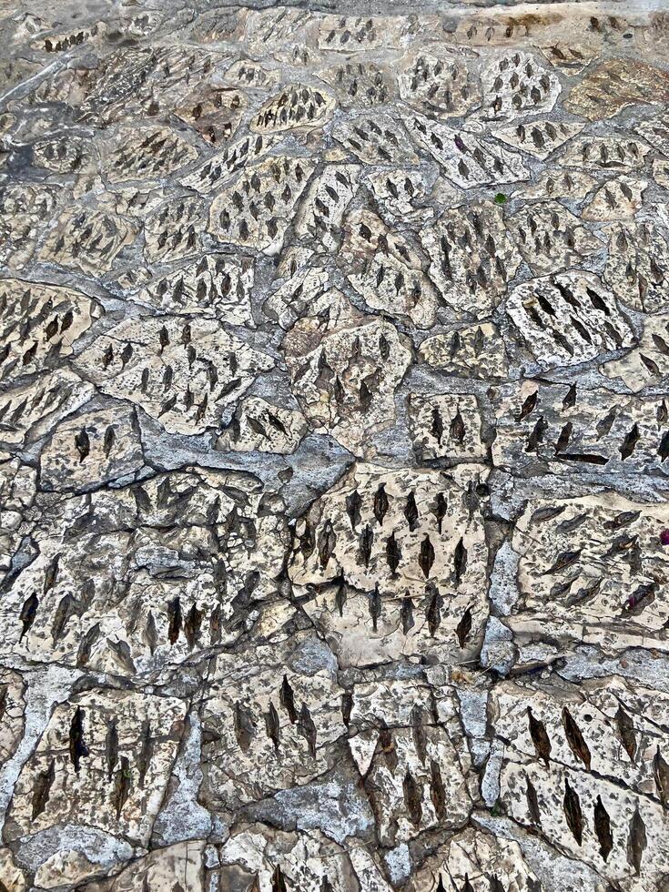 A piece of stone wall with a carved patterned background photo