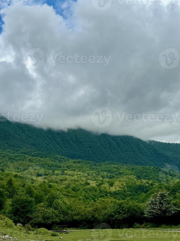 Mountain covered with trees in the foggy clouds photo