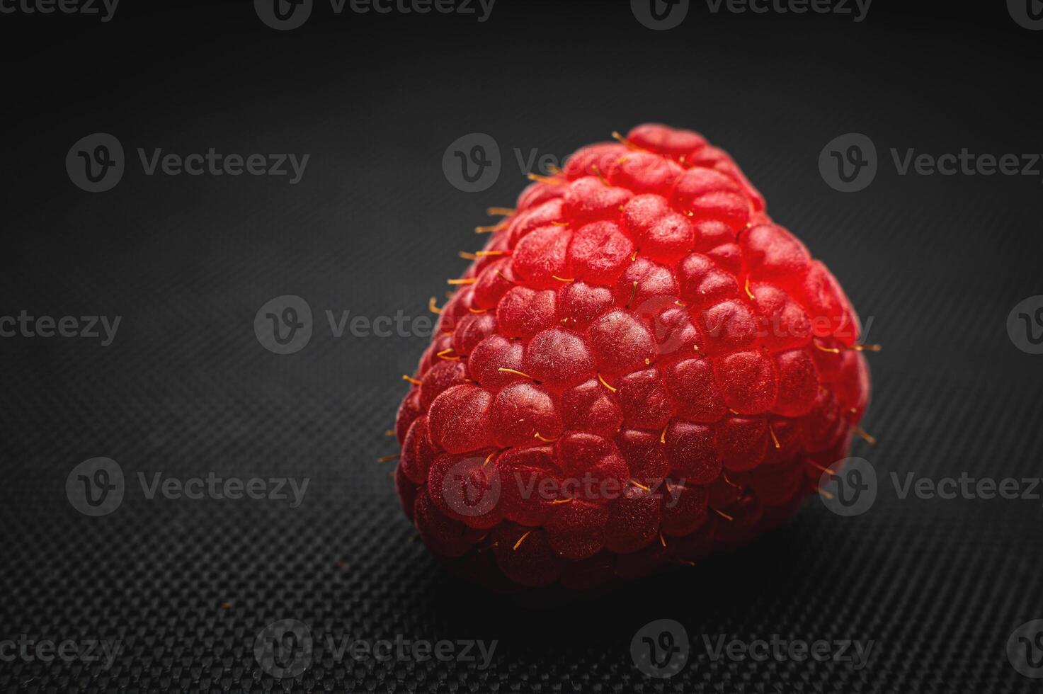 One red raspberry on a black background macro shot photo
