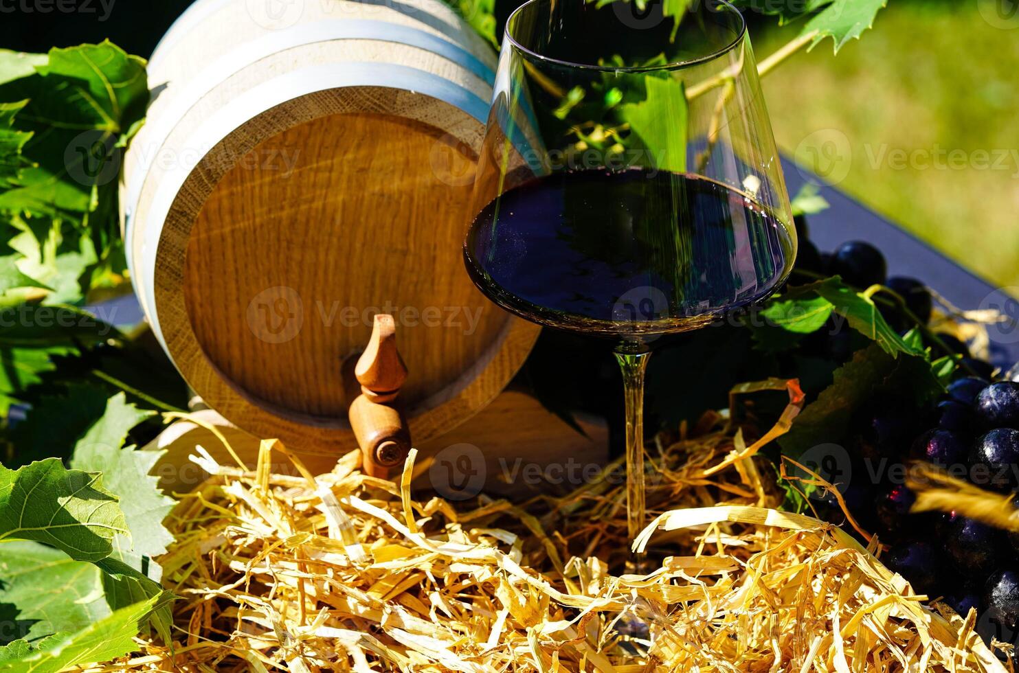 wine grapes on olive wood photo