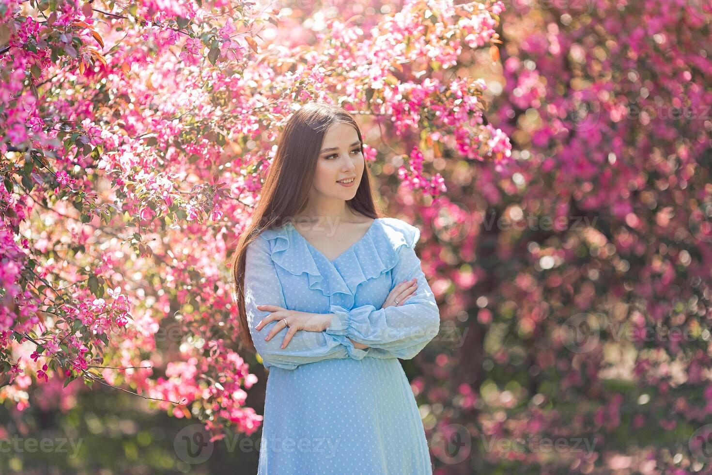 girl in dress, is standing near a pink blooming garden photo