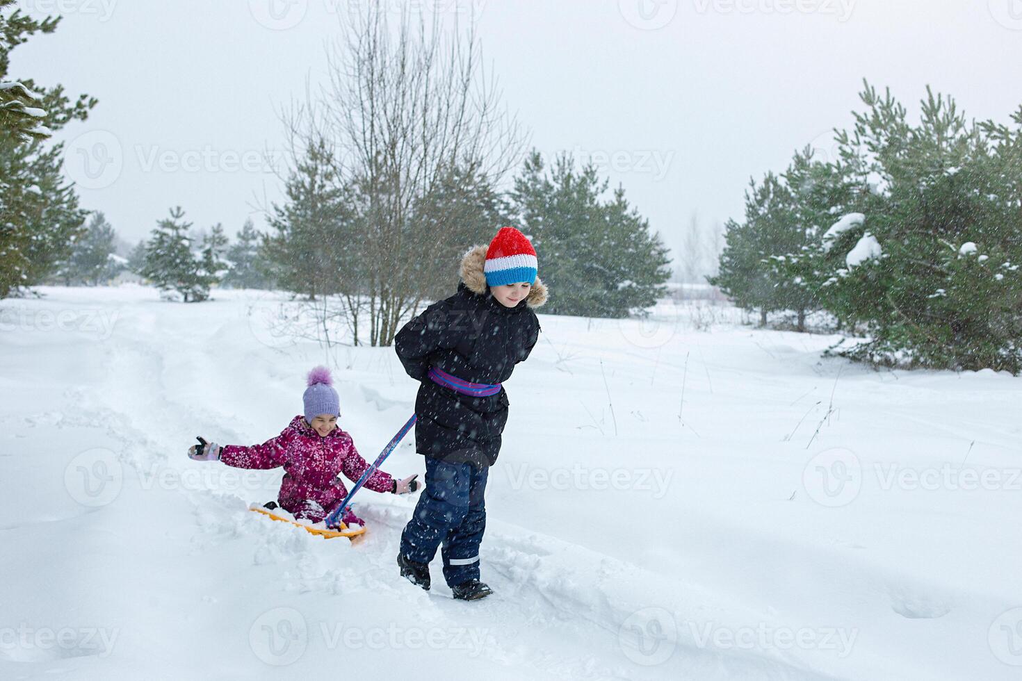 A boy rolls a little girl in the snow on a ice rink. photo