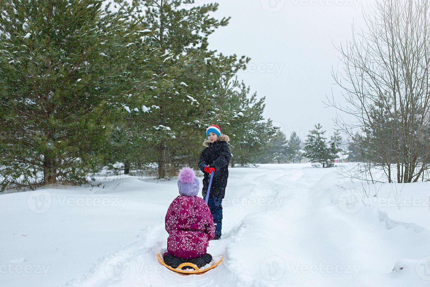 A boy in a winter park pulls a girl on a rope through the snow on a plastic transport photo