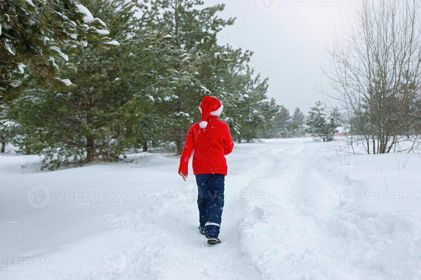 a teenager in a red sweater and a red hat go in the winter in the park, photo