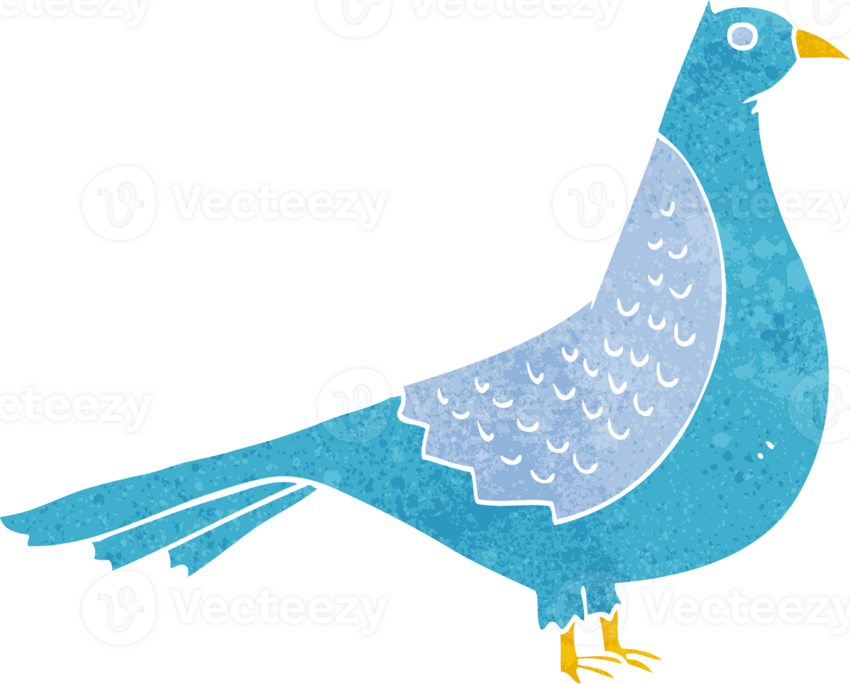 cartoon bird drawing png