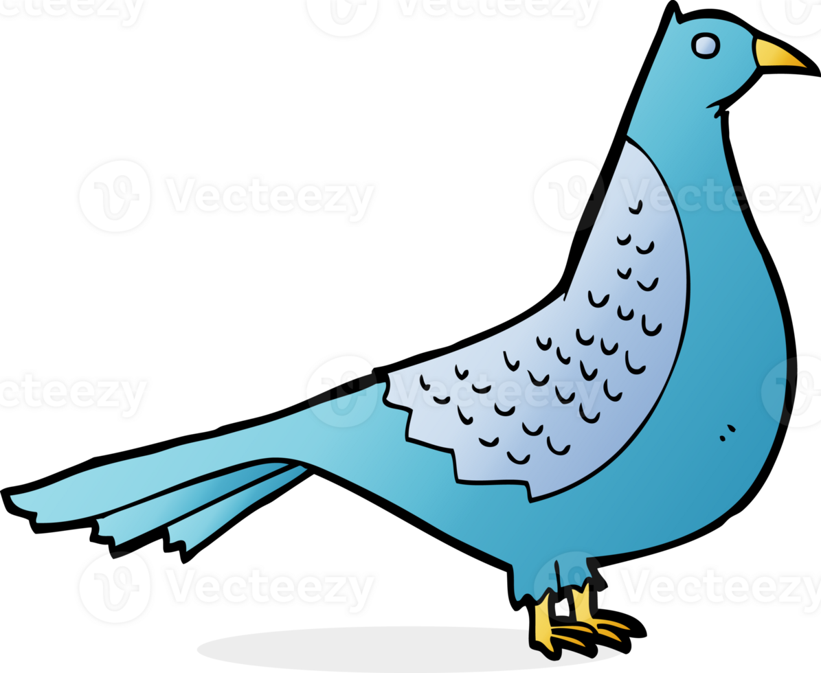 cartoon bird drawing png