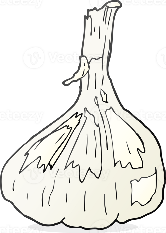 freehand drawn cartoon garlic drawing png