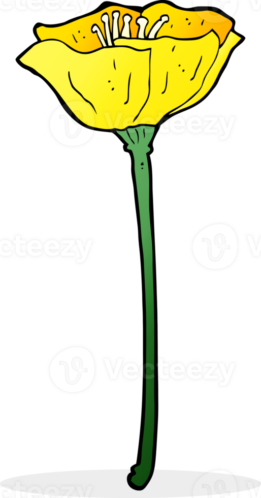 cartoon flower drawing png