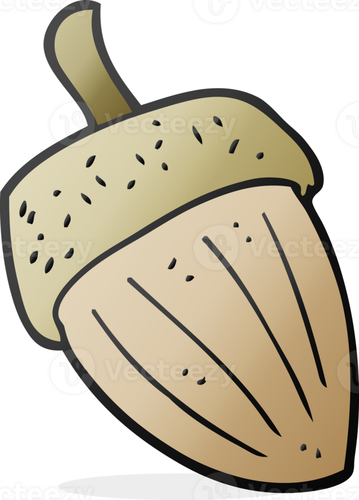 freehand drawn cartoon acorn drawing png