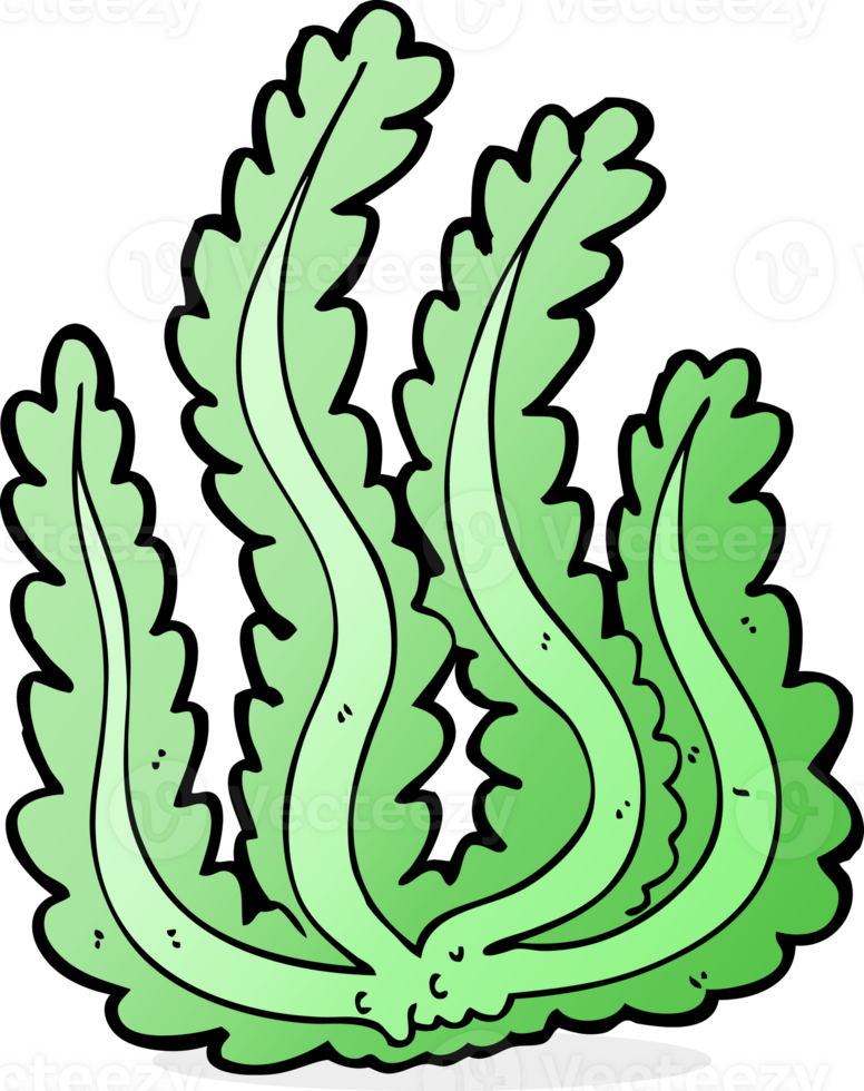 cartoon seaweed drawing png
