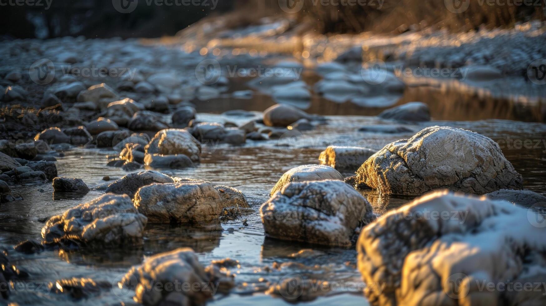 A riverbed lined with unusual rock formations looking like a host of aquatic creatures frozen in time photo
