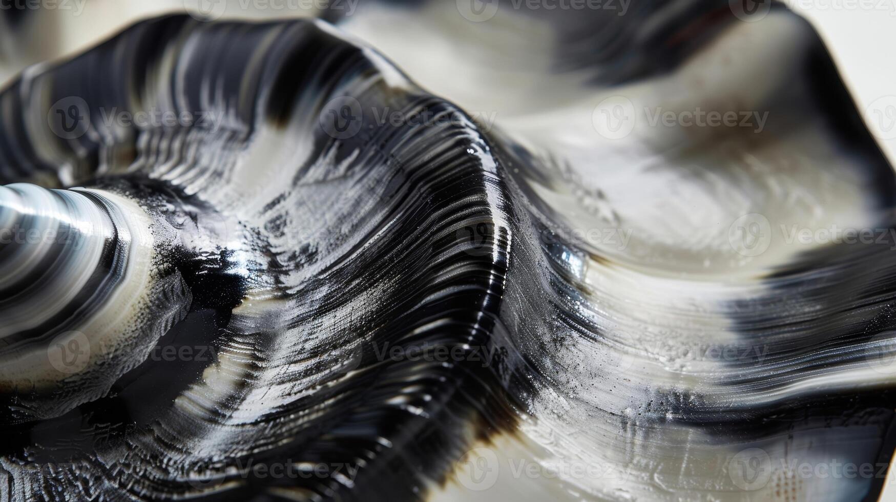 The smooth and shiny texture of a black and white shell with alternating bands of glossy and matte finishes photo