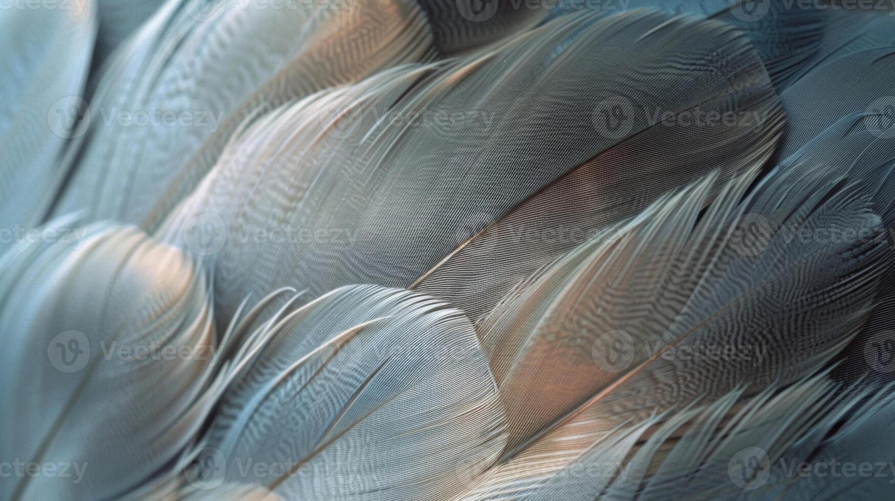 A closeup of a feather pattern featuring a mix of light and dark tones resembling a mesmerizing abstract artwork photo