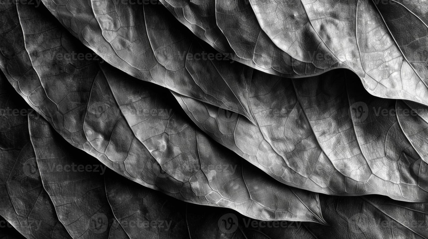 An intricate array of overlapping folds and creases creating intricate patterns and shadows on the leafs surface photo