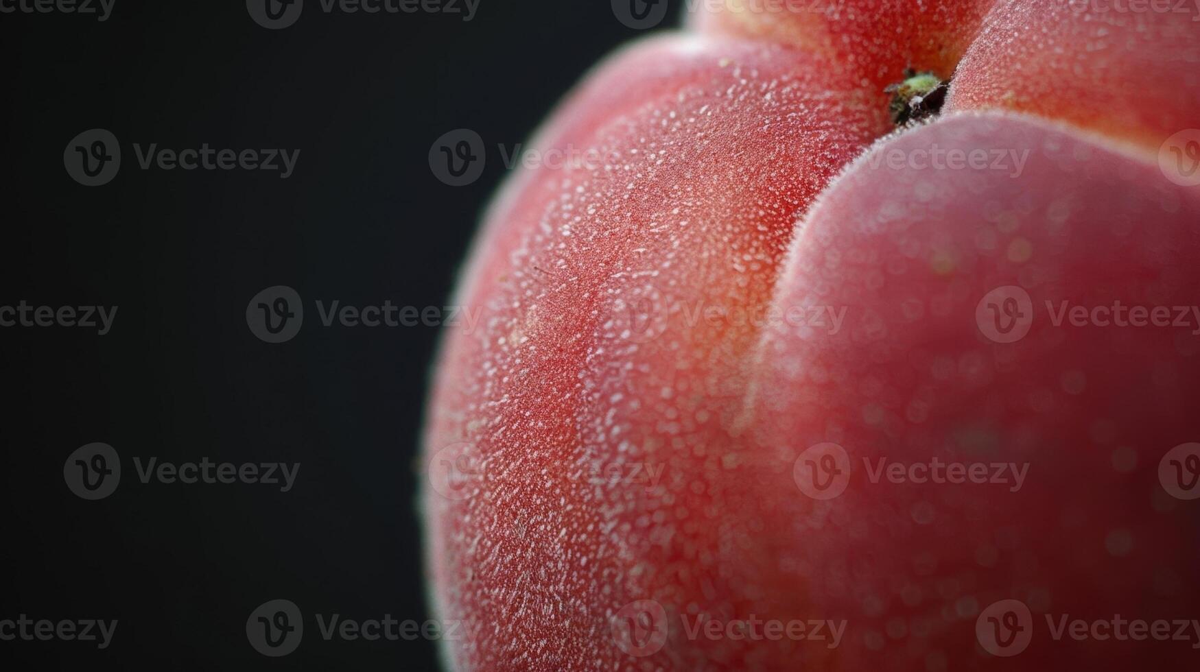 As the peach ripens the skin becomes even fuzzier and softer almost like a newborn babys cheek photo