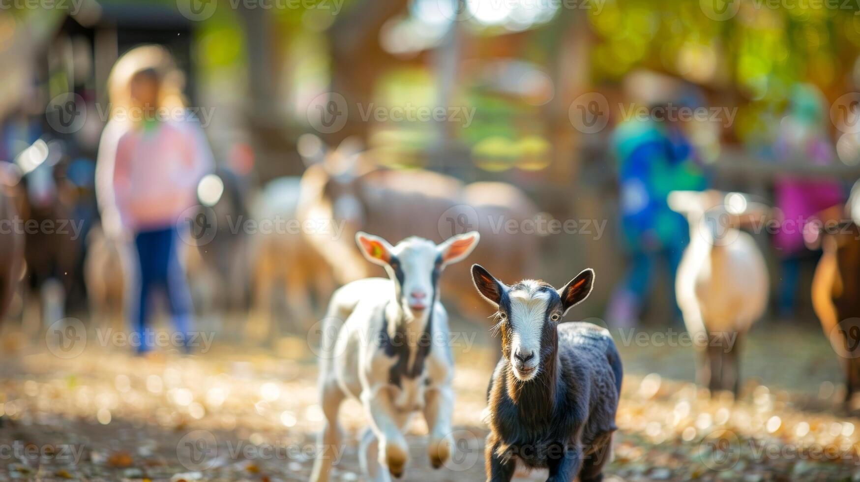 Blurry scene of barnyard animals roaming freely a excited children at a petting zoo photo