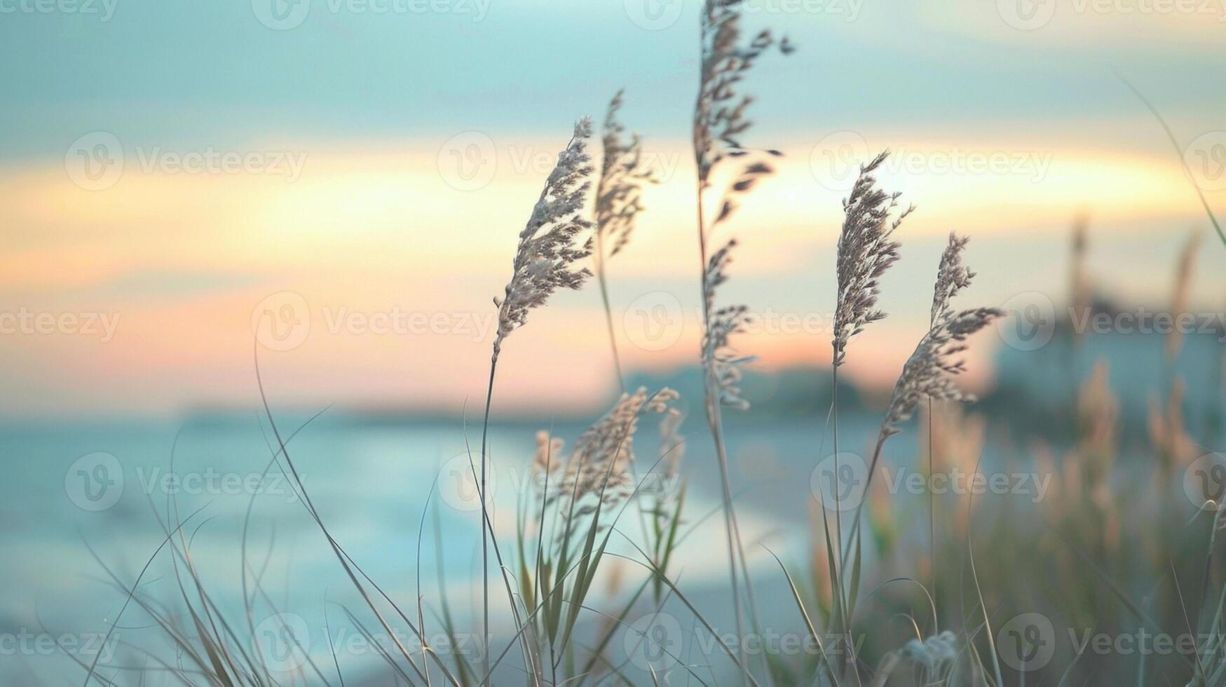 Defocused background image showcasing a charming coastal town set against a pastel sky and featuring a blurred foreground of tall grasses swaying in the gentle sea breeze. photo