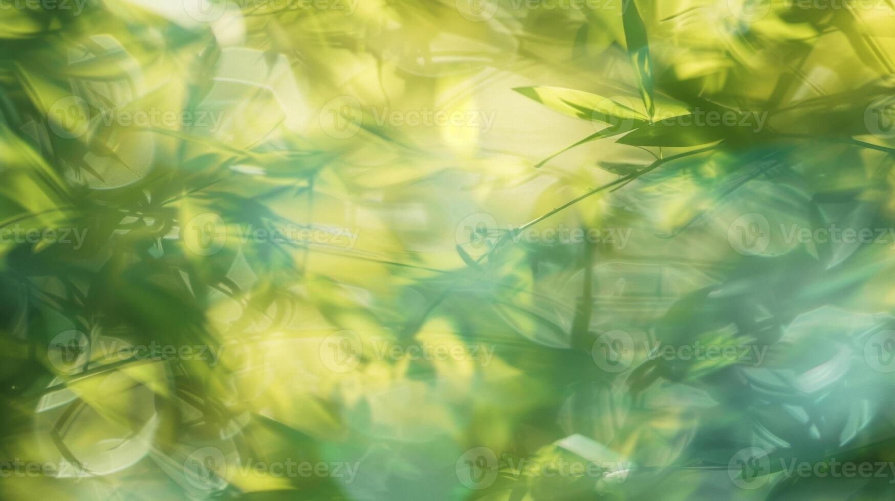 Defocused Natures Canvas photo