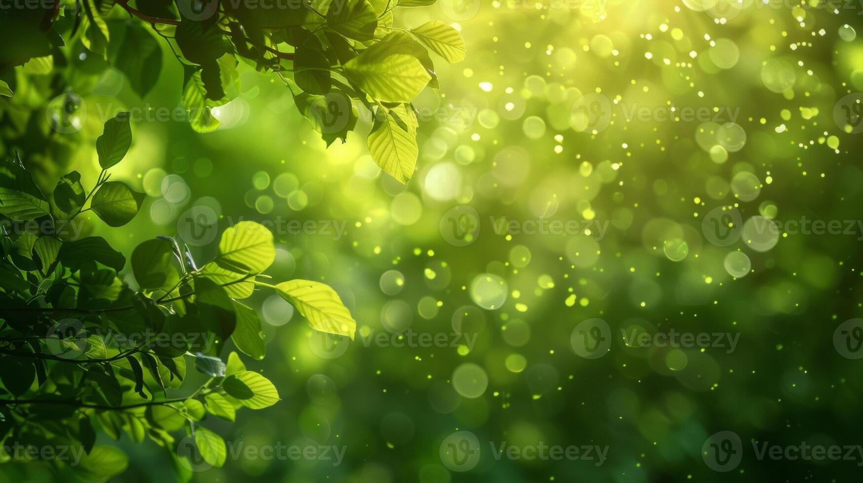 Defocused canopy of trees in a magical forest creating a soft and diffused light that illuminates the lush greenery. The bokeh effect adds to the sense of enchantment and mystery. photo