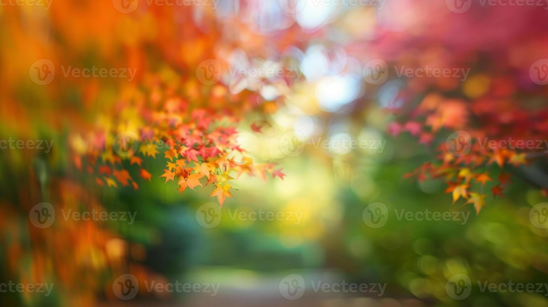 An out of focus expanse of vibrant colorful foliage transporting you to a serene dreamscape under natures canopy. photo